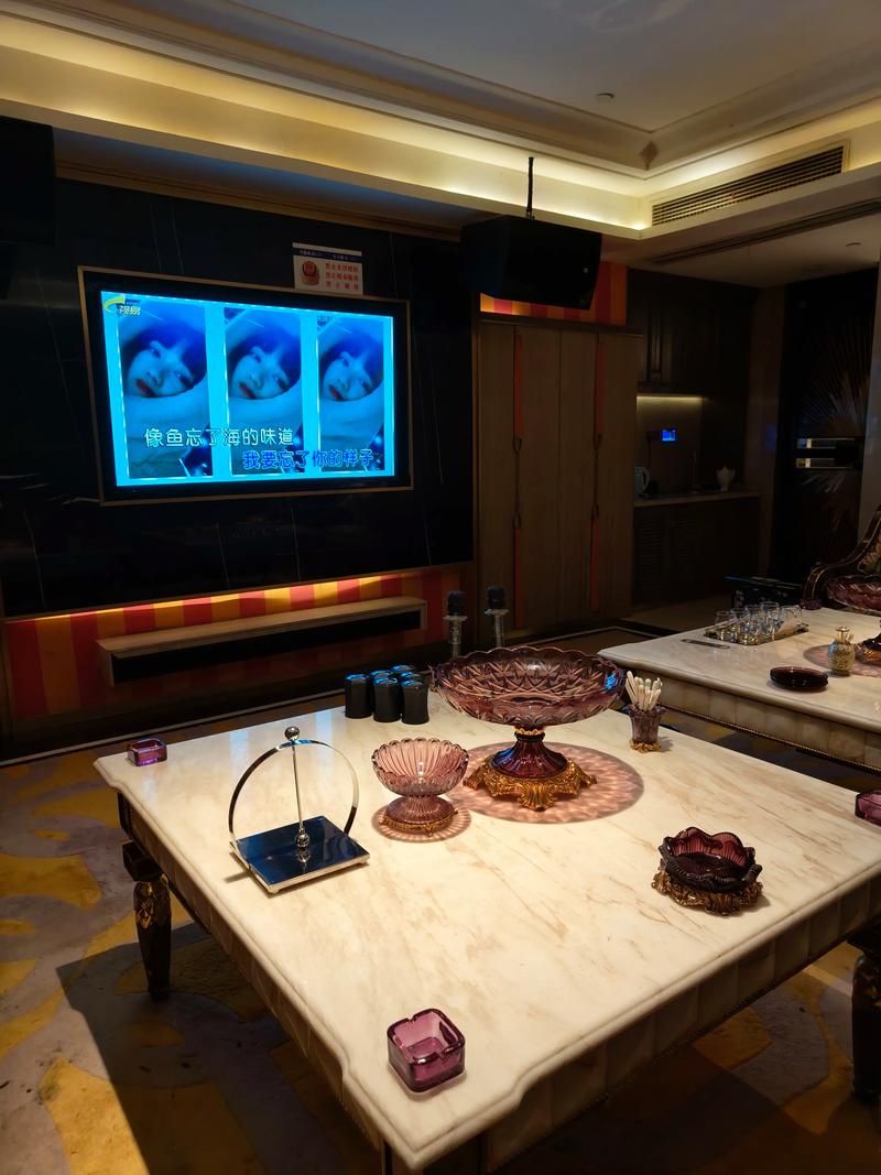 广元商务ktv专属单人包间-青川县ktv预定